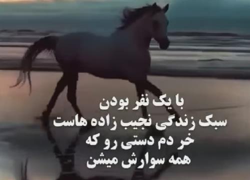 رضا&nbsp;رضایی 