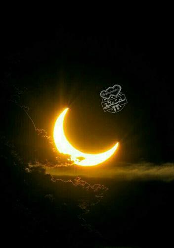 احمد&nbsp;محمدی