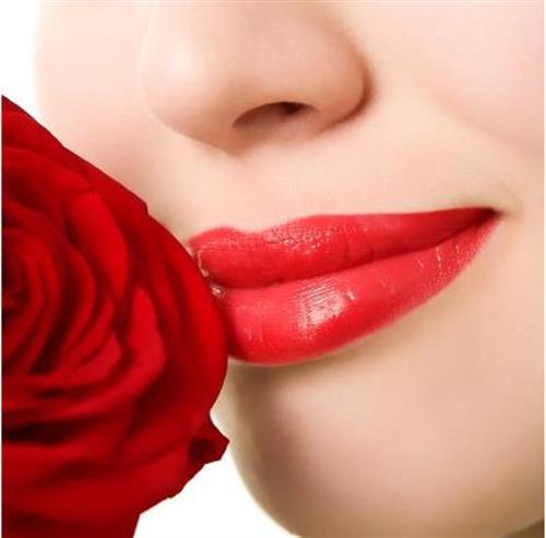 مریم&nbsp;مجد