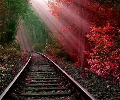 sara&nbsp;...........