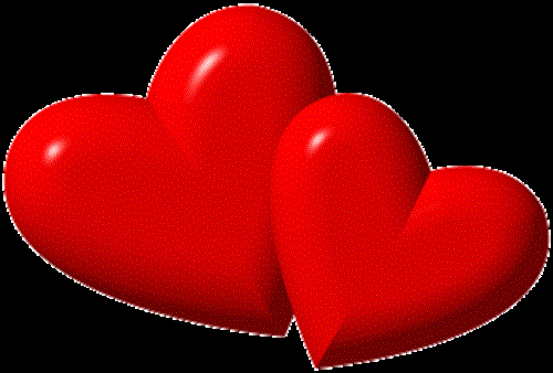 mehran&nbsp;adib far