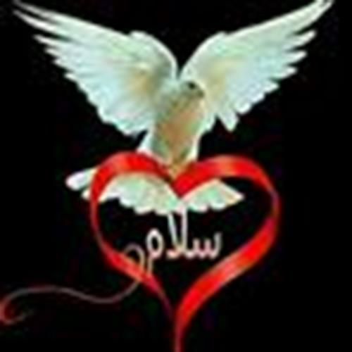 احسان&nbsp;محمدی