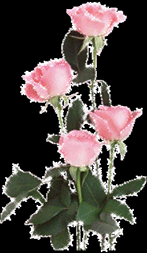 فاطمه&nbsp;فاطمه