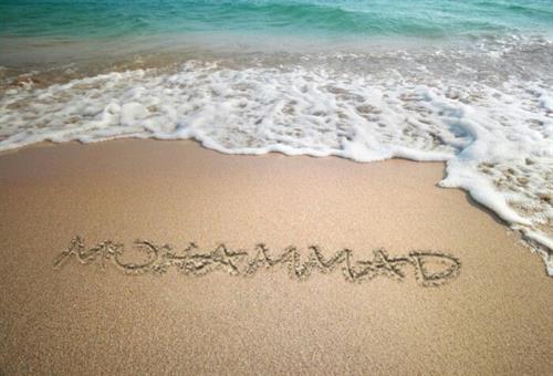 amir mohammad&nbsp;danesh