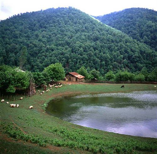 haj agha&nbsp;mehrabadi