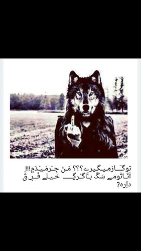 ستار&nbsp;کبیرعبدی