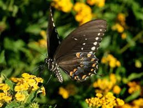 payam40&nbsp;payam40