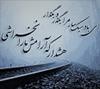 zabihollah