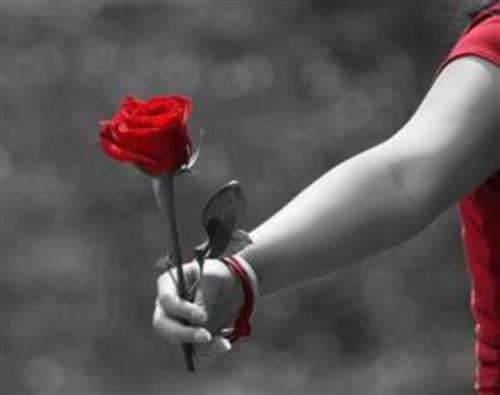 رضا&nbsp;اسدی