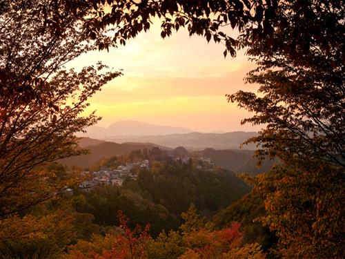 ali reza&nbsp;azhdari