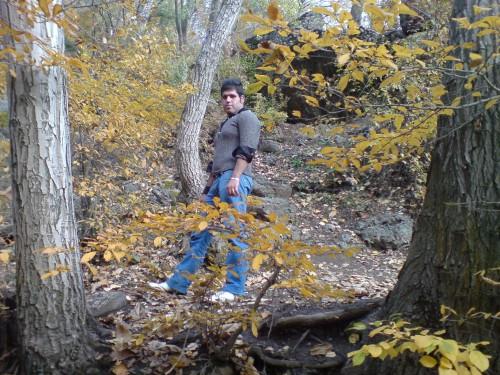 mehrdad&nbsp;mohamadi