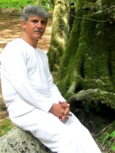 dariush&nbsp;shahandeh