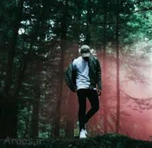 علی&nbsp;علوی