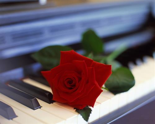 رضا&nbsp;رضایی