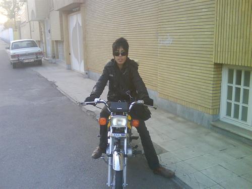 shaian&nbsp;yazarloo