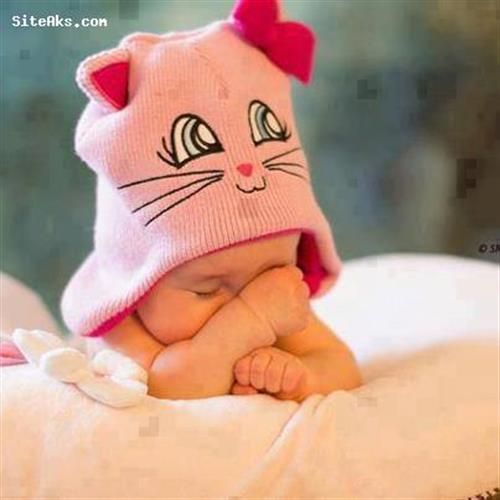 hamed_ghaemshahr&nbsp;hamedi