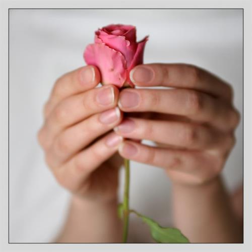 sayid&nbsp;dadashi1346