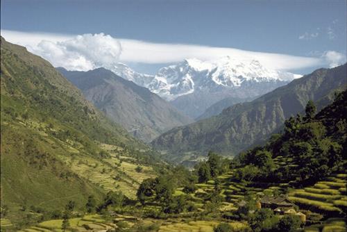 سارا&nbsp;شمس