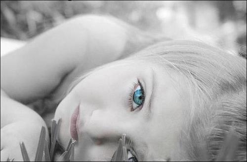 mohammad&nbsp;rezaei