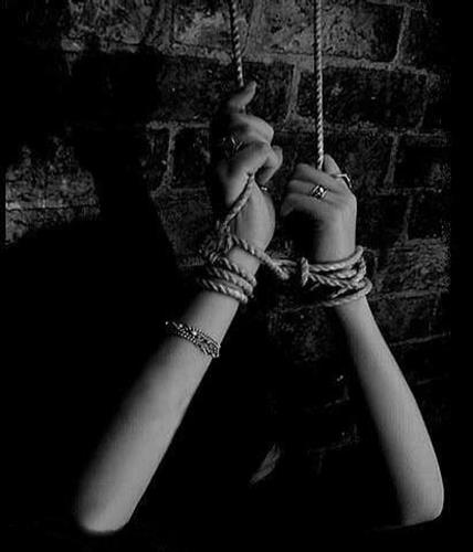 setare-yazd&nbsp;yazdi