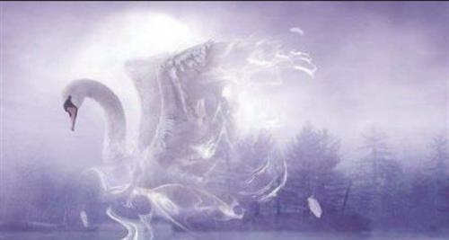 paradise&nbsp;beheshti