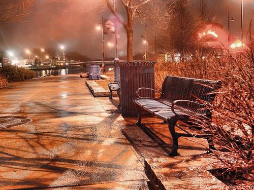 faezeh&nbsp;abolhasani