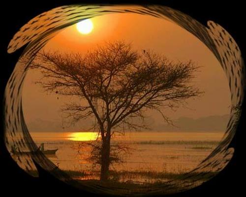 mohammadreza0&nbsp;yousofi