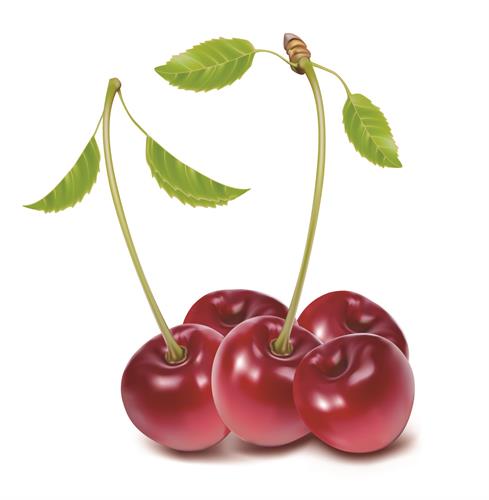 fire_man_&nbsp;fire_man_