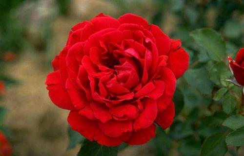 fatemeh sadat&nbsp;m