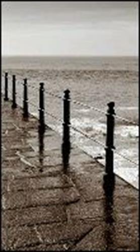 sahra joon&nbsp;hajipour