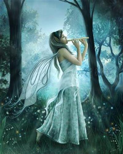 maryam&nbsp;mohamadi