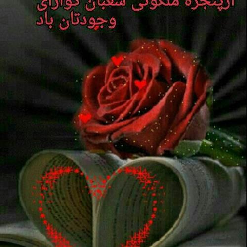 atabak&nbsp;mohamadi