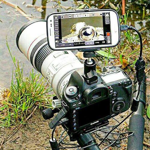 عسل&nbsp;محبی