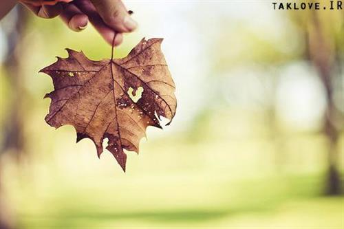 elham&nbsp;farahmand