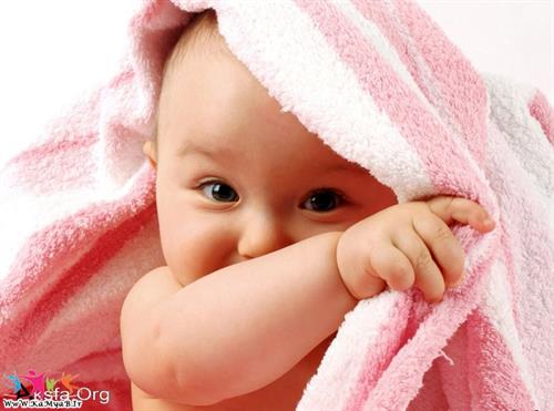 تارا&nbsp;حسینی