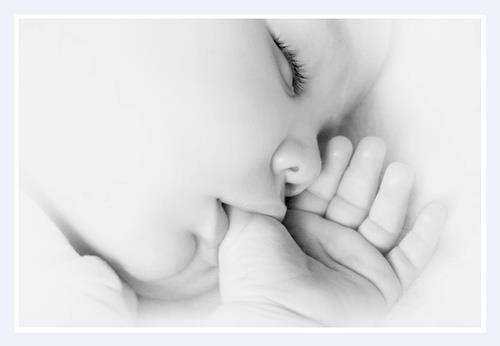 mohammad&nbsp;rezaei rafie