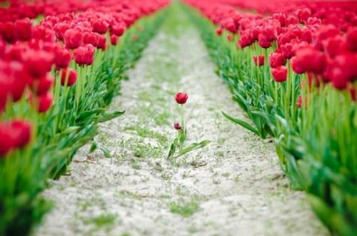 mohammad&nbsp;ahmadi