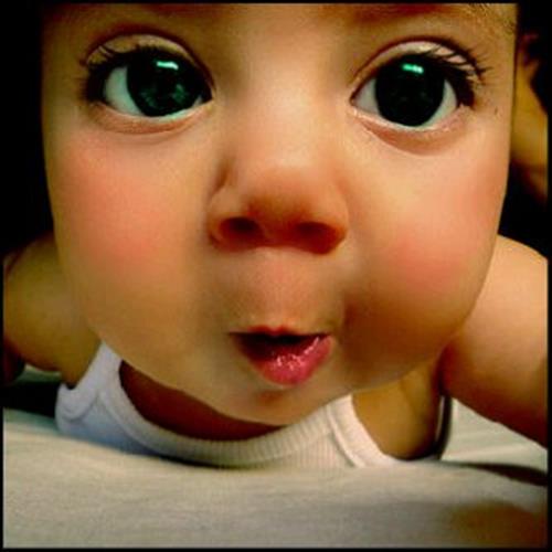 mohamadreza&nbsp;rahimi