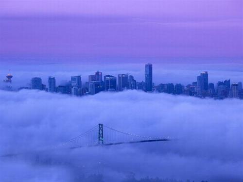 farzaneh&nbsp;samadi