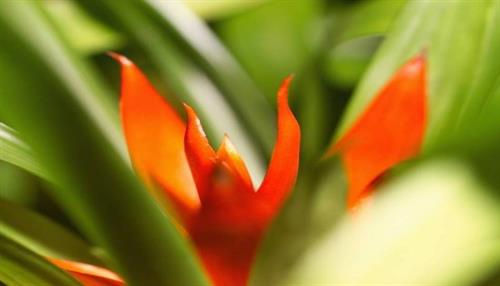 alireza&nbsp;tehrani