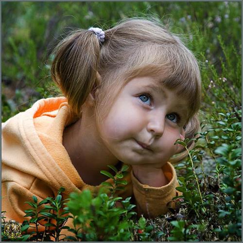 rojbin&nbsp;hajizadeh