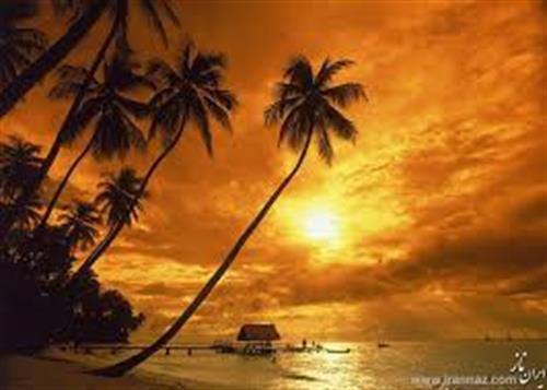 piredoran&nbsp;doran