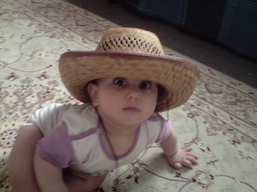 hesam&nbsp;zhip zhap