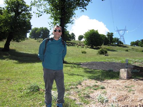 alireza &nbsp;homayooni