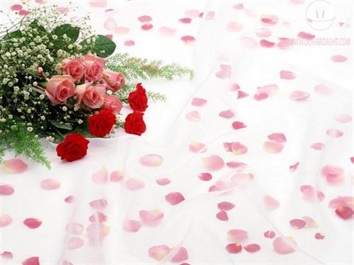 الهام &nbsp;شهيدي 