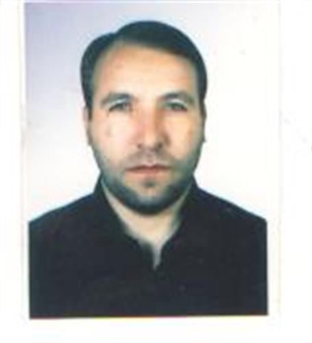 وحید&nbsp;محمودی