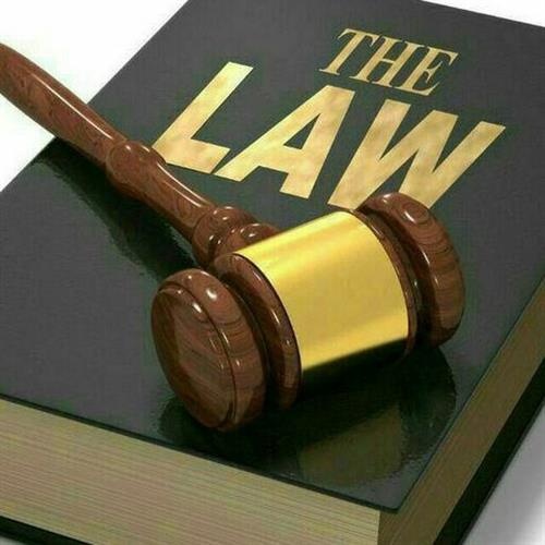 مجتبی&nbsp;قاسمی