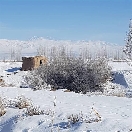 فرید&nbsp;محمدی