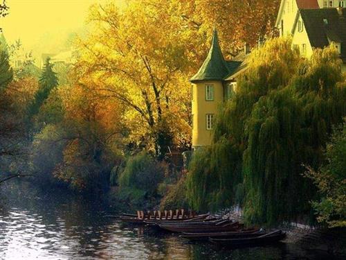 mahsaabi&nbsp;mehrsa