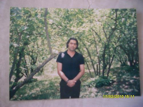 shahrouz&nbsp;ariamehr